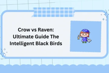 Crow vs Raven: Ultimate Guide The Intelligent Black Birds