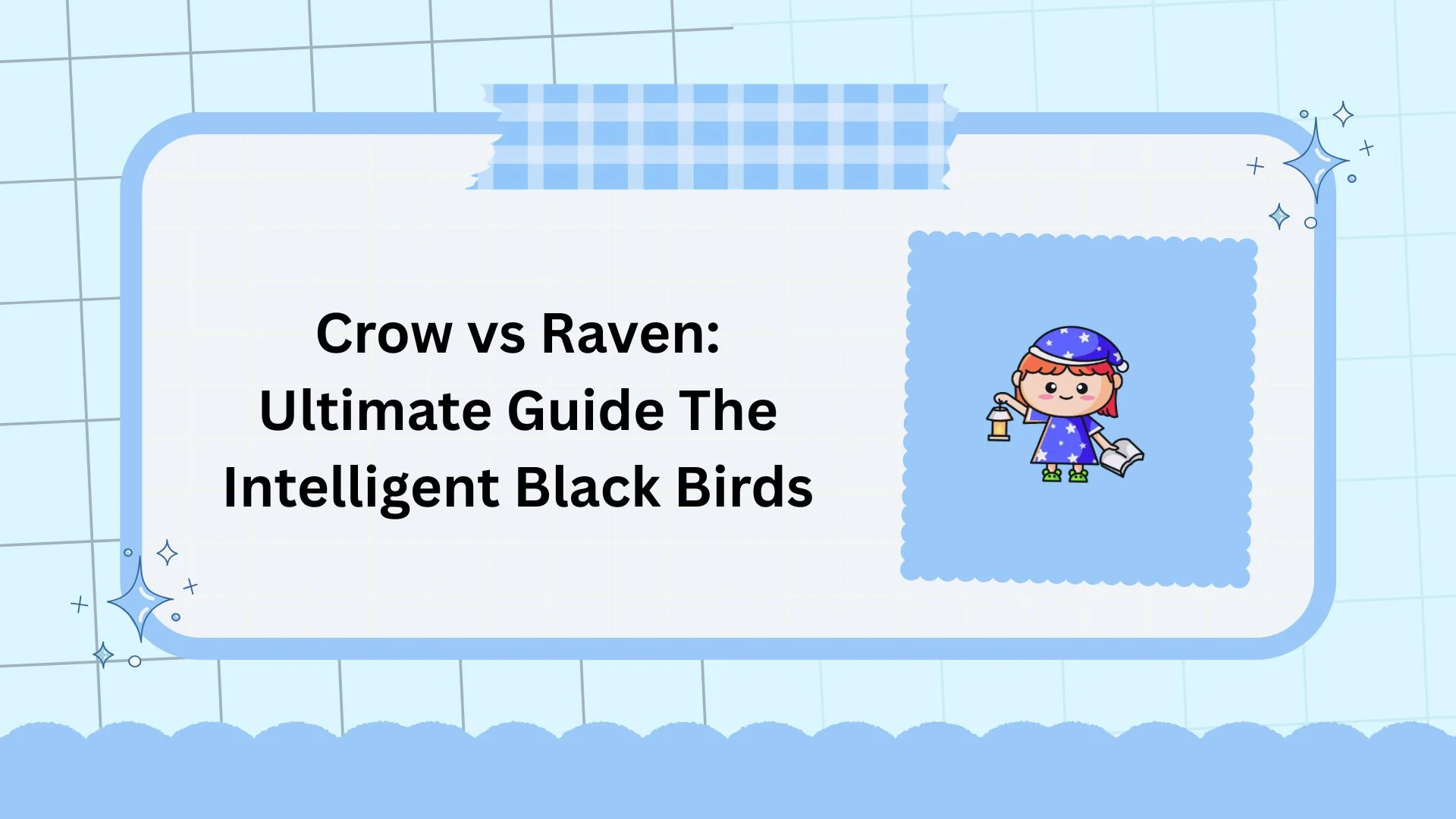 Crow vs Raven: Ultimate Guide The Intelligent Black Birds