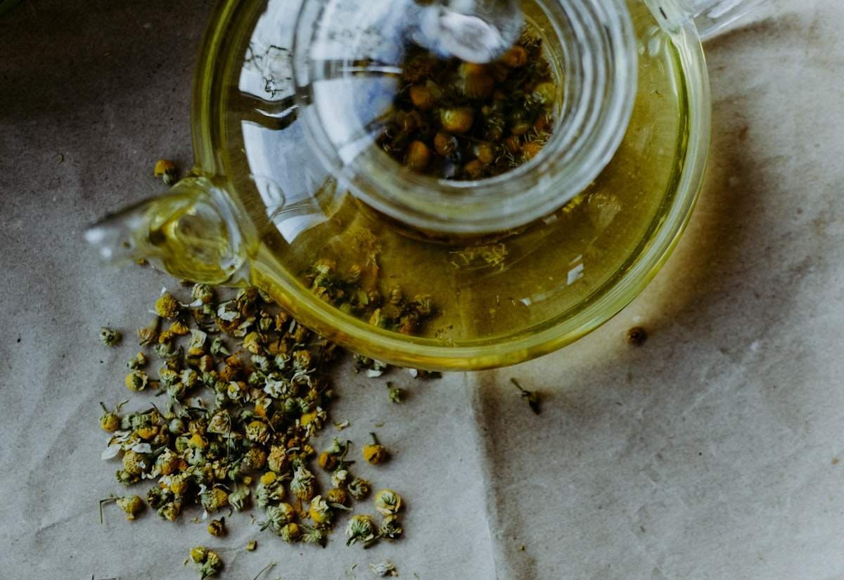 Chamomile meaning illustrated by dried chamomile flower heads spilled beside a glass teapot of golden infusion