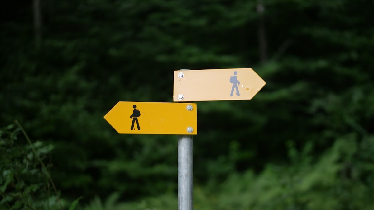 Past tense of choose illustrated by two yellow trail signs pointing in opposite directions